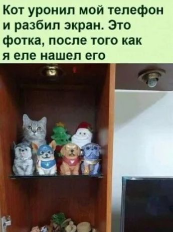 Кот уронил мой телефон и разбил экран Это фотка после того как я еле нашел его 23
