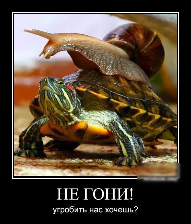 Ы _ _ П ьд_____ НЕГОНИ угробить нас хочешь