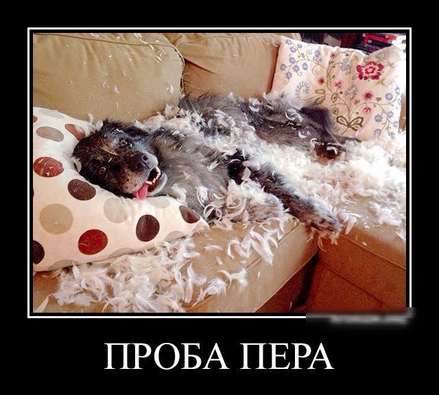 ПРОБА ПЕРА