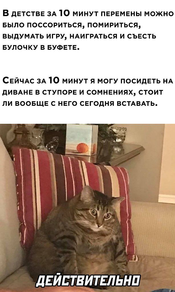 В дЕТсТВЕ ЗА 10 минут перемены можно БЫЛО ПОССОРИТЬСЯ ПОМИРИТЬСЯ ВЫДУМАТЬ ИГРУ НАИГРАТЬСЯ И СЪЕСТЬ БУЛОЧКУ В БУФЕТЕ СЕЙЧАС ЗА 10 минут я могу посидеть НА дИВАНЕ в ступор и сомнениях стоит ли ВООБЩЕ с него сегодня встлквять дЕйствитвльнп
