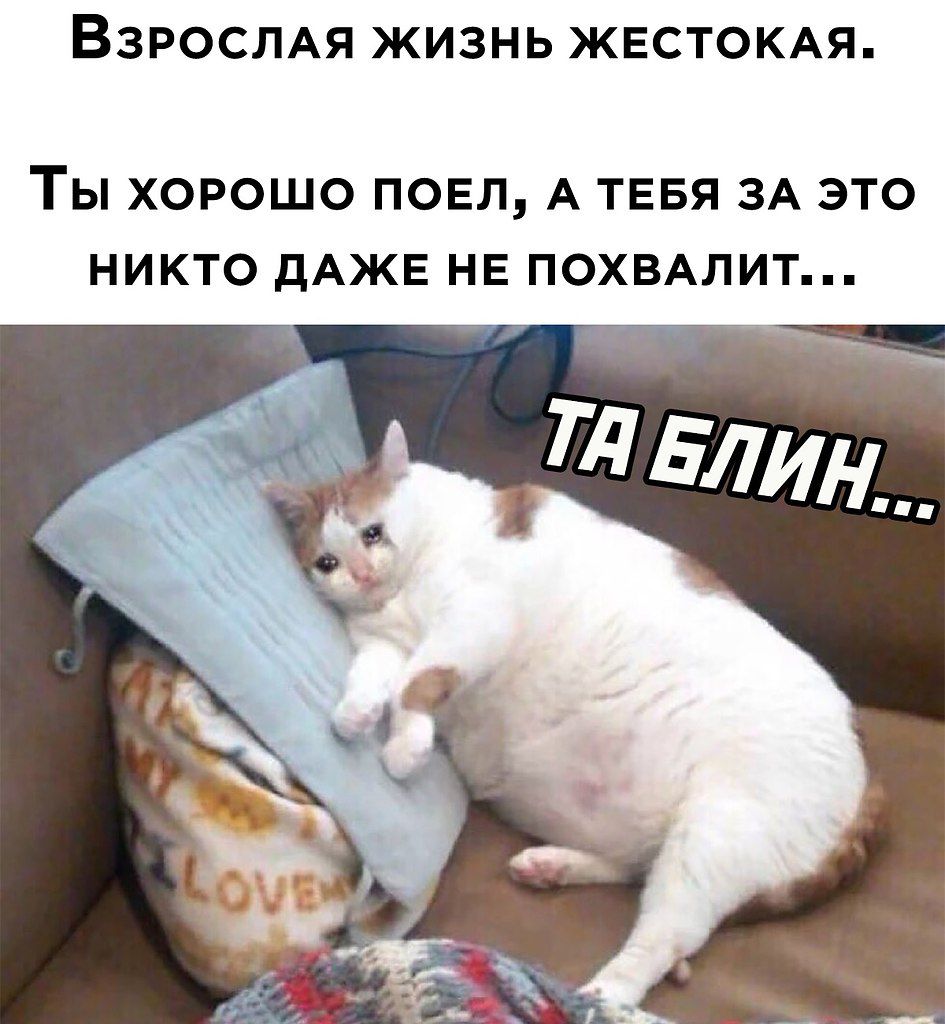 ВЗРОСЛАЯ ЖИЗНЬ ЖЕСТОКАЯ ТЫ ХОРОШО ПОЕЛ А ТЕБЯ ЗА ЭТО НИКТО дАЖЕ НЕ ПОХВАЛИТ