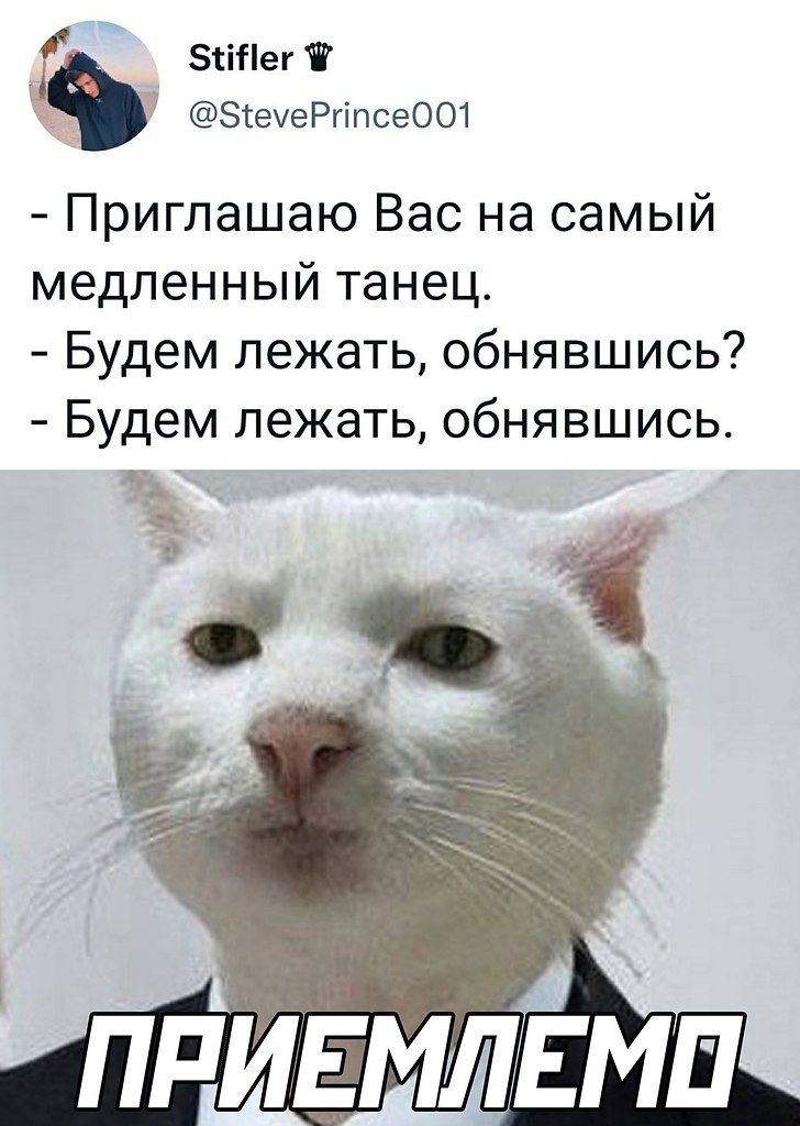 іііегт ЗКеуеРгіпсеоот Приглашаю Вас на самый медленный танец Будем лежать обнявшись Будем лежать обнявшись