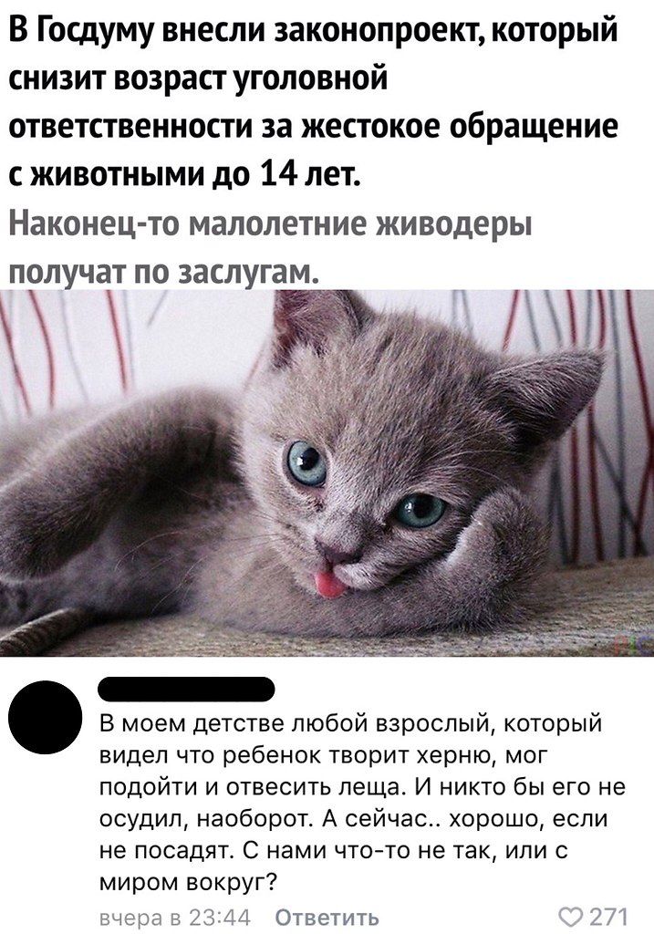 В Госдуму внесли законопроект который снизит возраст уголовной ответственности за жестокое обращение с животными до 14 лет Наконец то малолетние живодеры получат ПО заслугам В моем детстве любой взрослый который видел что ребенок творит херню мог подойти и ответь леща И НИКТО бы его не осудил наоборот А сейчас хорошо если не посадят С нами чточо не так или с миром вокруг Ответить
