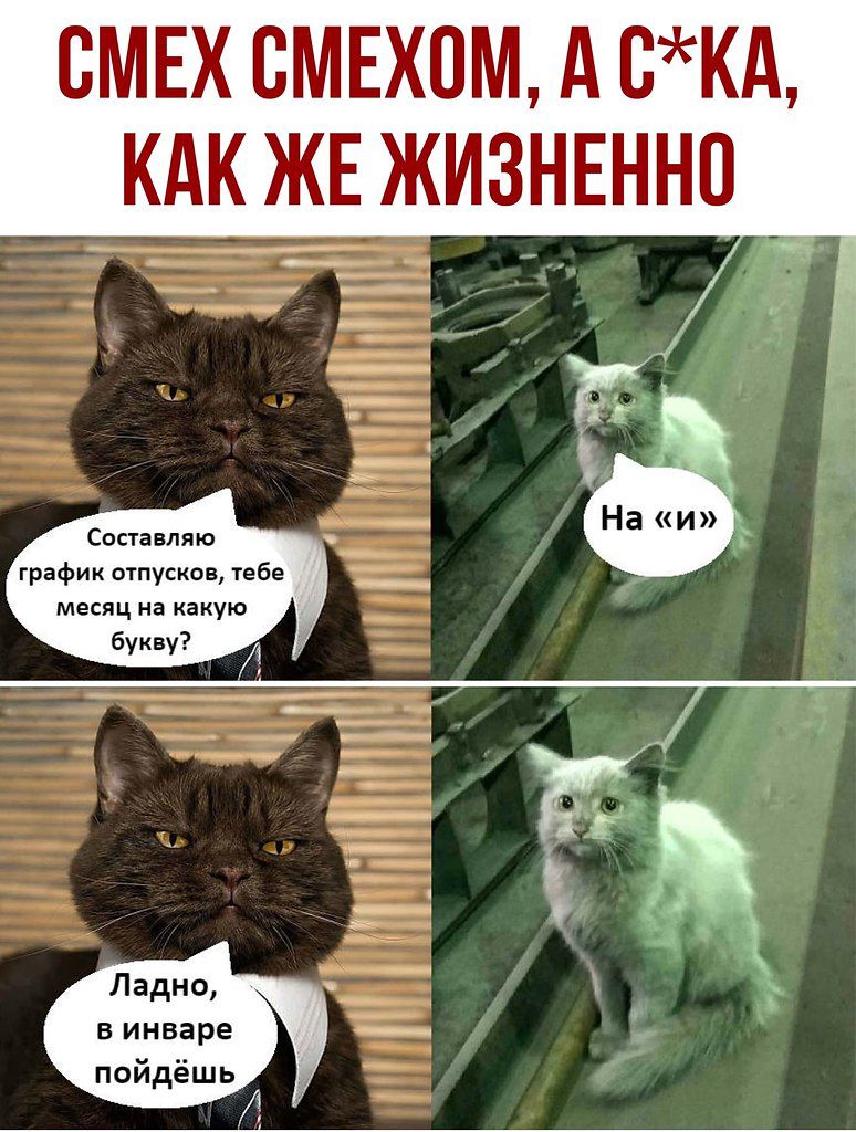 СМЕХ ВМЕХОМ А ВКА КАК ЖЕ ЖИЗНЕННП