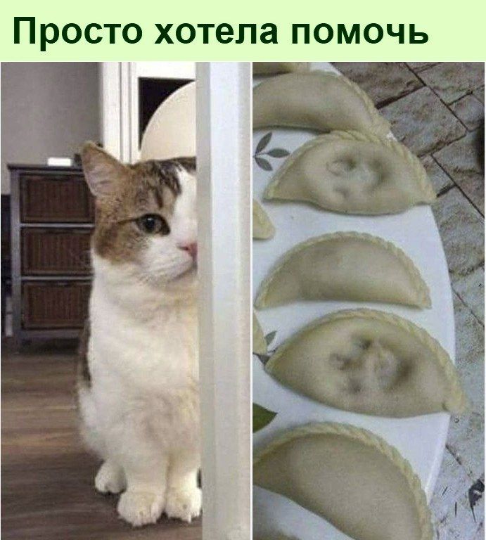 Просто хотела помочь