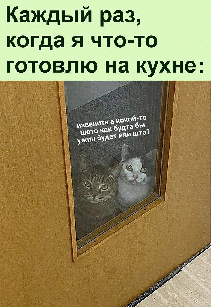 Каждый раз когда я что то ГОТОВЛЮ на кухне _