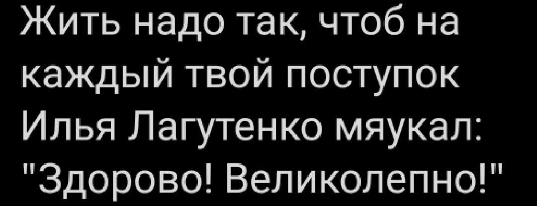 Жить надо так чтоб на каждый твой поступок Илья Лагутенко мяукал Здорово Великолепно