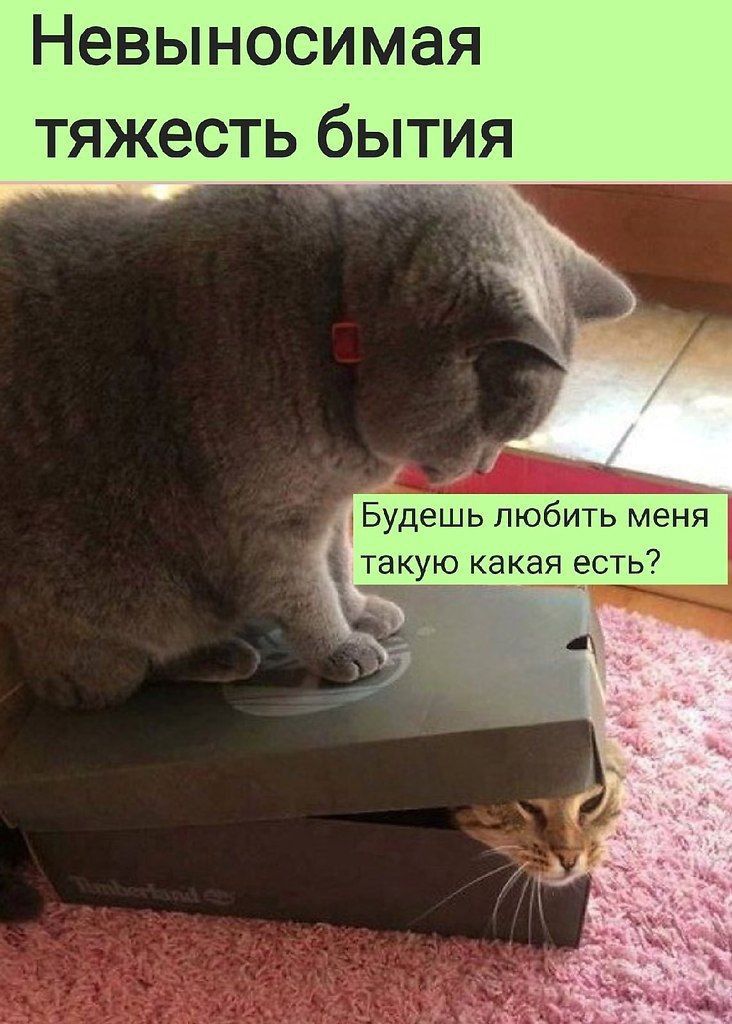 Невыносимая тяжесть