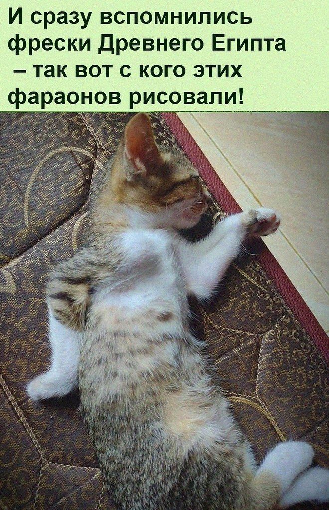 И сразу вспомнились фрески Древнего Египта так вот с кого этих фараонов ри