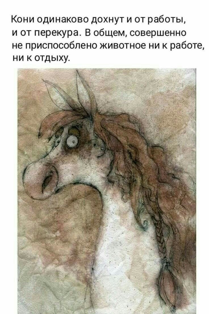 Кони одинаково дохнут и от работы и от перекура В общем совершенно не приспособлено животное ни к работе НИ К ОТДЫХУ