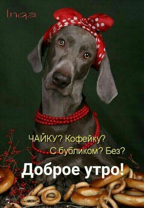 ЧАЙКУ 0фейкУ 7С бубликом Без доброё при _ Создаи свою ктомащіштешоюпвкпх