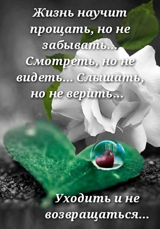 Жизнь научит прощать но не Уходить и не возвращаться