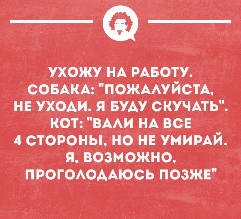 вАіА пожму КОТ В АИ НА ВСЕ 4 СТОРОНЫ НО НЕ УМИРАЙ я ВОЗМОЖНО ПРОГОАОААЮОЬ ПОЗЖЕ Щцинбшрн