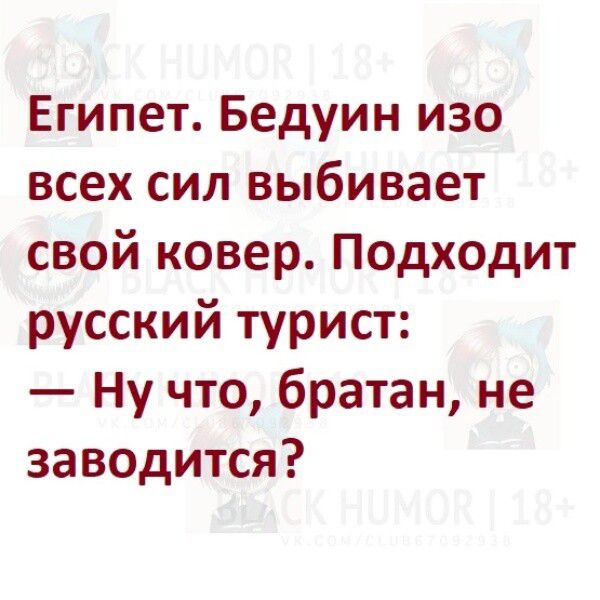 Египет Бедуин изо всех сил выбивает свой ковер Подходит русский турист Ну что братан не заводится