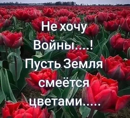 Нехочу к Пусть Земля і