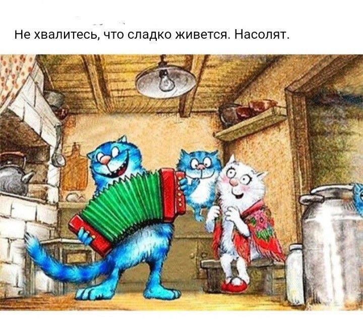 Кот с гармошкой рисунок