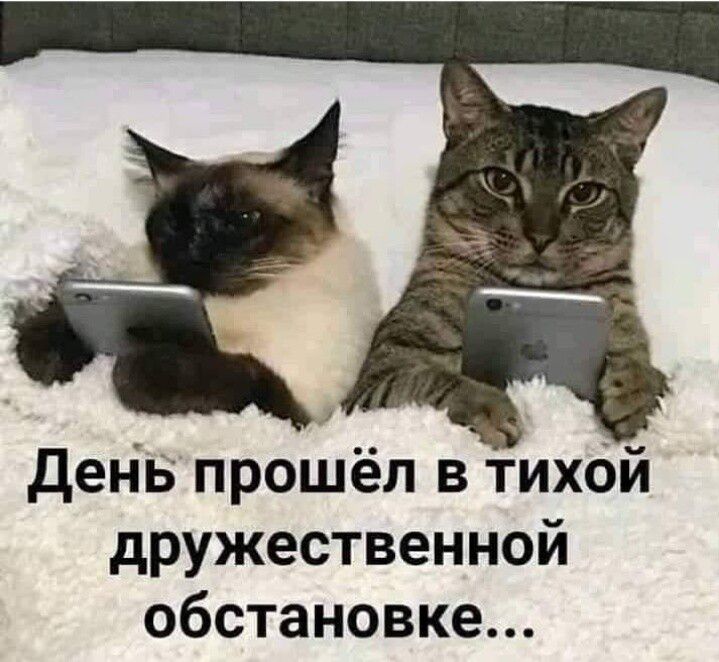 деп іь прошёл в тихой дружественной обстановке