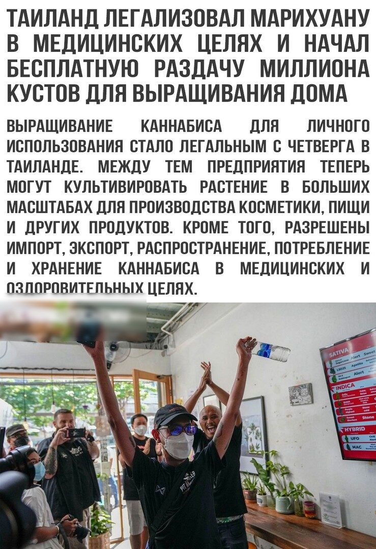 ТАИЛАНД ЛЕГАЛИЗОВАЛ МАРИХУАНУ В МЕДИЦИНСКИХ ЦЕЛНХ И НАЧАЛ БЕСПЛАТНУЮ РАЗДАЧУ МИЛЛИОНА КУСТОВ дЛЯ ВЫРАЩИВАНИЯ дОМА ВЫРАЩИВАНИЕ КАННАБИСА дЛЯ ЛИЧНОГО ИСПОЛЬЗОВАНИИ СТАЛО ЛЕГАЛЬНЫМ С ЧЕТВЕРГА В ТАИЛАНдЕ МЕЖДУ ТЕМ ПРЕДПРИПТИП ТЕПЕРЬ МОГУТ КУПЬТИВИРПВАТЬ РАСТЕНИЕ В БОЛЬШИХ МАСШТАБАХ дЛЯ ПРОИЗВОДСТВА КОСМЕТИКИ ПИЩИ И ЛРУГИХ ПРОДУКТОВ КРОМЕ ТОГО РАЗРЕШЕНЫ ИМПОРТ ЭКСПОРТ РАСПРОСТРАНЕНИЕ ПОТРЕБЛЕНИЕ И ХРАН