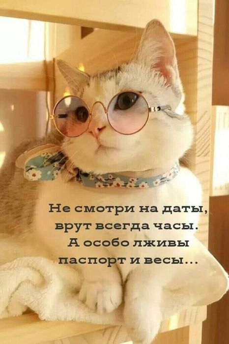 На спо гри на даты прут всегда часы А особо джипы навет и весы