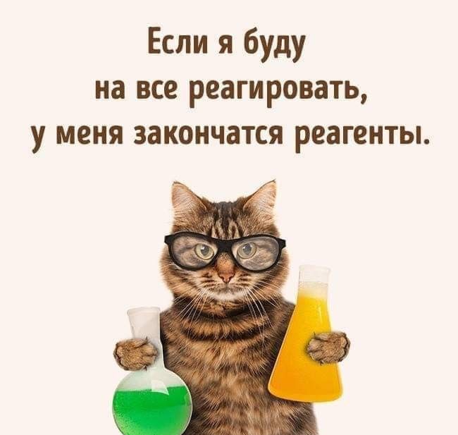 Если я буду на все реагировать у меня закончатся реагенты дим пЕюэпРнпшз