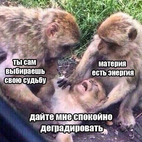 дайте МНЕ спокойно дишадиповатЬ Т 1 Ш и д