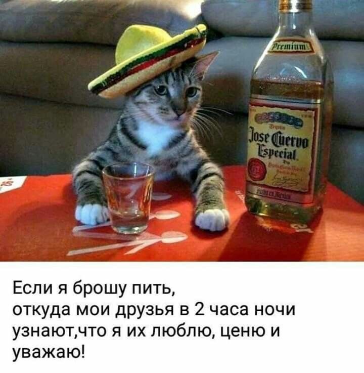 Если я брошу пить откуда мои дРУЗЬЯ в 2 часа ночи узнаютчто я их люблю ценю и уважаю