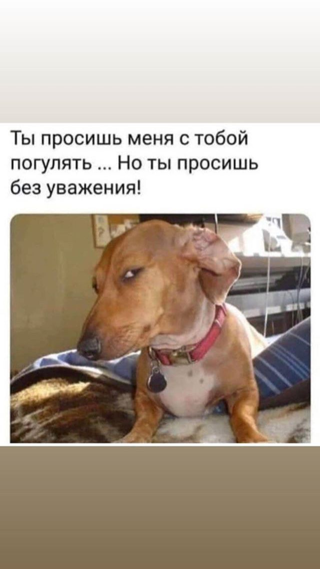 Ты просишь меня с тобой погулять Но ты просишь без уважения