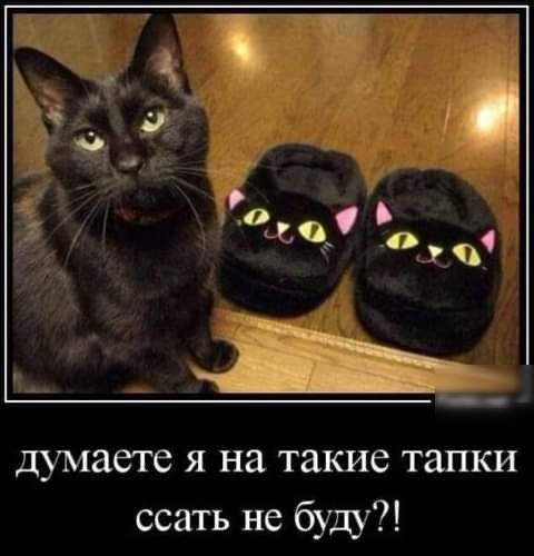 тип думаете я на такие тапки ссать не буди