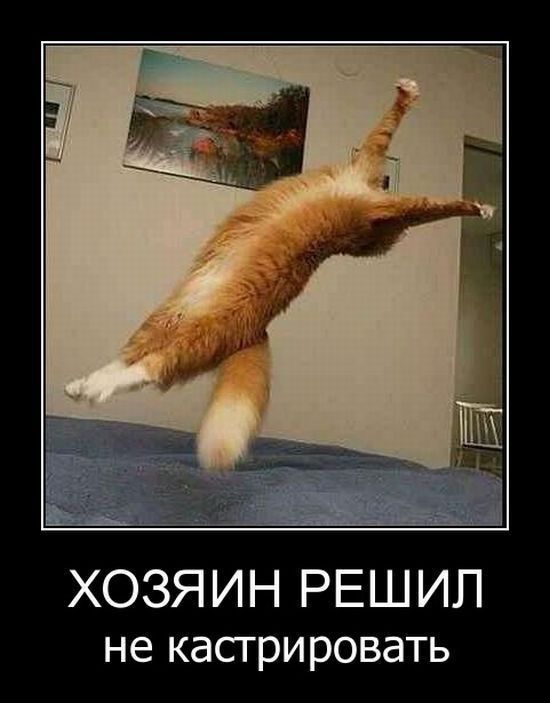 ХОЗЯ ИН РЕШ ИП не кастрировать