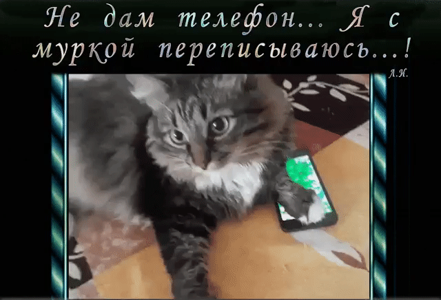 Ле дам телефон Я с муркрй ПЕРЕПЦСЫБЦЮСЫ