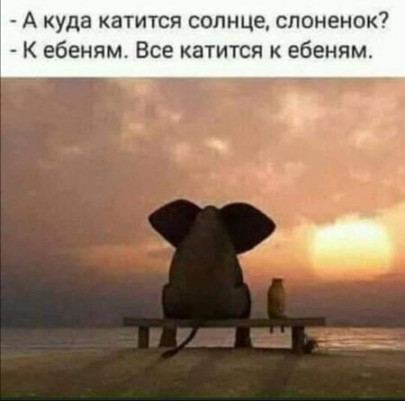 А куда катится солнце слоненок К ебеням Все катится к ебеням