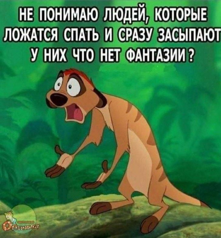 НЕ ПОНИМАЮ ЛЮДЕЙ КОТОРЫЕ ЛОЖАТСЯ СПАТЬ И СРАЗУ ЗАСЫПАЮТ У НИХ ЧТО НЕТ ФАНТАЗИИ О