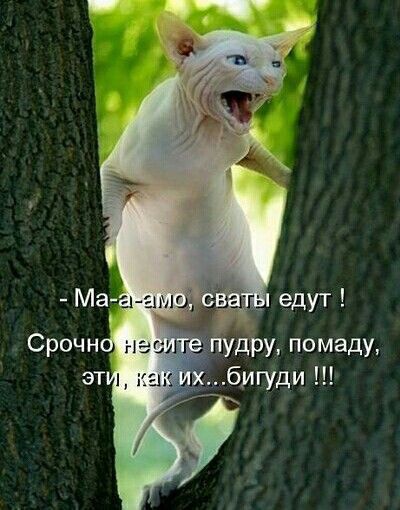едут ру пома д бигуди У