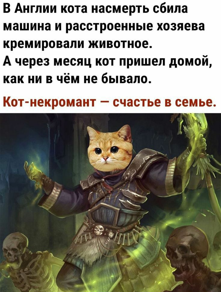 В Англии кота насмерть сбила машина и расстроеииые хозяева кремировали животное А через месяц кот пришел домой как ни в чём не бывало КОТ НЕКРОМЗНТ _ СЧЗСТЬЕ В СЕМЬЕ