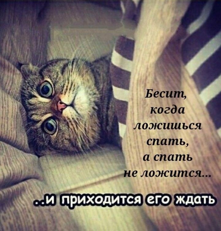 Бесит когда ложиться спать а спать ме ложится Мете