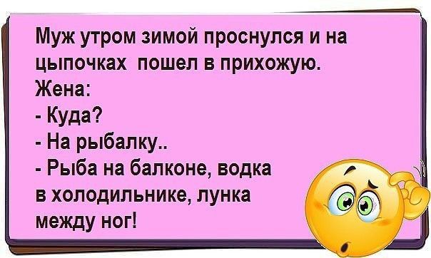 Муж утром зимой проснулся и на цыпочках пошел в прихожую Жена Куда На рыбалку Рыба на балконе водка в холодильнике лунка между ног