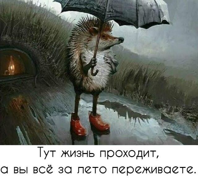 т жизнь проходит с вы всё за лето переживое