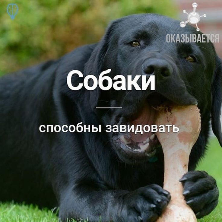 О способны зав_удо