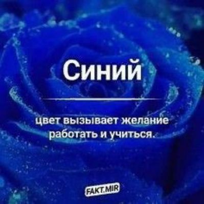 Синий вьіэьівш _ихчиться