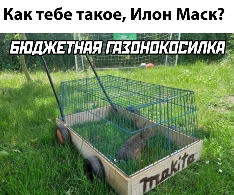 Как тебе такое Ипон Маск БшшкЕтндя гдЁПнпщпилкл