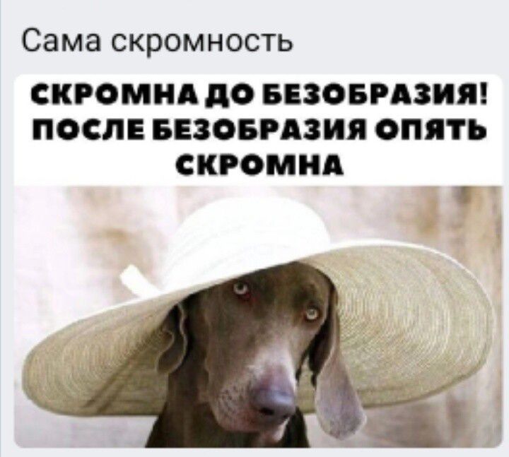 Сама СКРОМНОСТЬ СКРОМНА до БЕЗОБРАЗИЯ ПОСЛЕ БЕЗОБРАЗИЯ ОПЯТЬ СКРОМНА