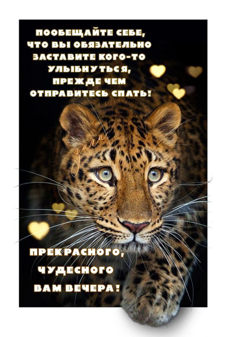 поопщдйт п что вы опадппьио ация ит коп то пыитп пгнхд инд спид иии пдть пгвкгдсиог підпис или вечеря