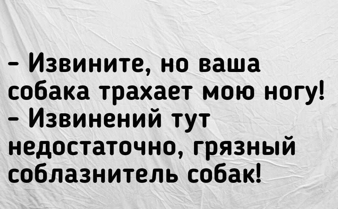 Извините но ваша собака трахает мою ногу Извинений тут недостаточно грязный соблазнитель собак Всесамоэ ииипевипеожизии и смерти в интернет т Чик шпнпыж