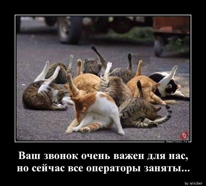 Ваш звонок очень важен для нас но сейчас все операторы заняты
