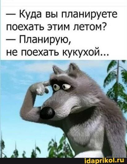 Куда вы планируете поехать этим летом Планирую не поехать кукухой ісіа поіжи