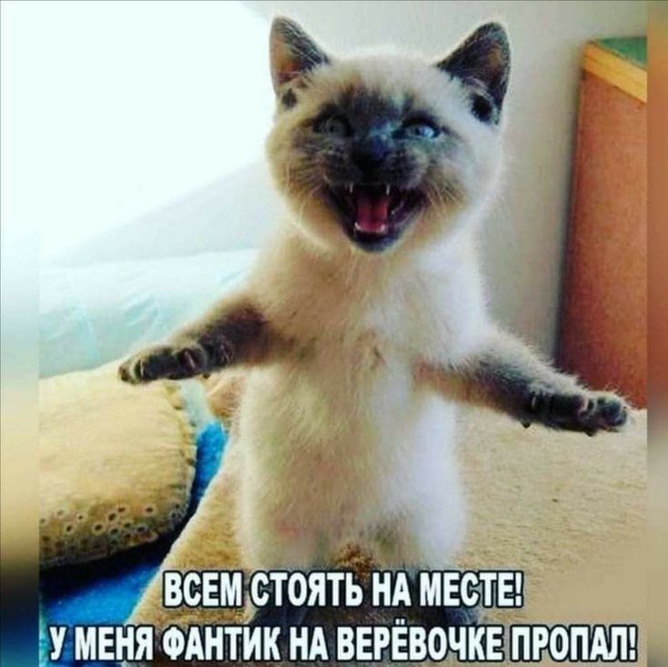_ _ ВСЕМСТОЯТЬ Щ МЕОТЕ У МЕНЯФАНТИК НА ВЕРЕВОЧКЕ _