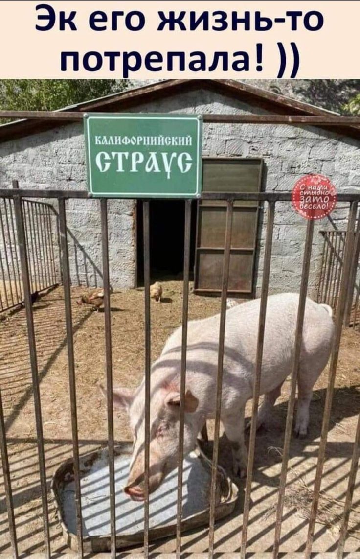 0 Ь им же 00 ГТ ео КП Э