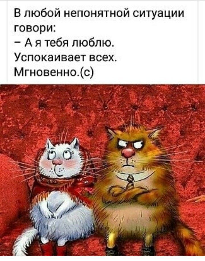 В любой непонятной ситуации говори А я тебя люблю Успокаивает всеж Мгновеннос