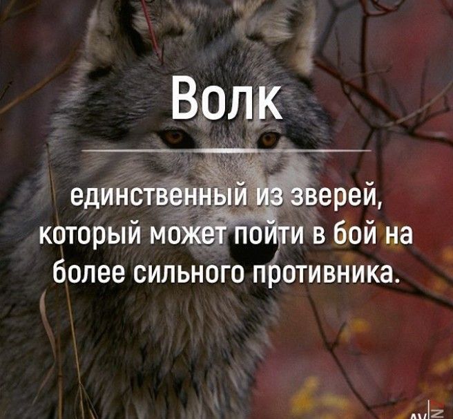 более СИЛЬНОГО ПЬОТИ ВНИКЗ _ 2