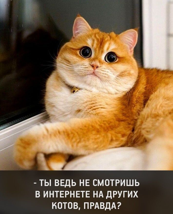 ТЫ ВЕДЬ НЕ СМОТРИШЬ В ИНТЕРНЕТЕ НА ДРУГИХ НОТНВ ПРАВДА